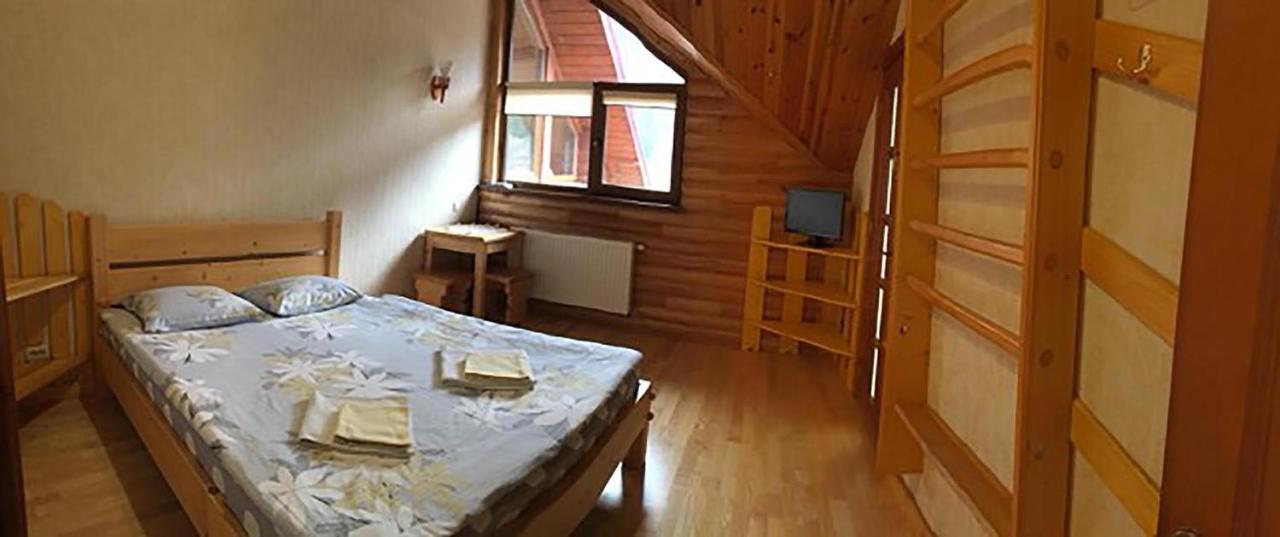 Mansarda Aparts Апартаменты Сколе